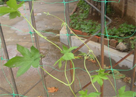 6,5 фута пластиковой сетки ловя сетью шпалеру протектора предохранителя лист сада Hdpe