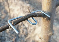 Длина 13CM гальванизировала деревья Furit стального провода использует ветвь дерева отжимая инструмент