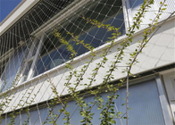 зеленое растение сетки веревочки провода 100*100mm взбираясь Ss304